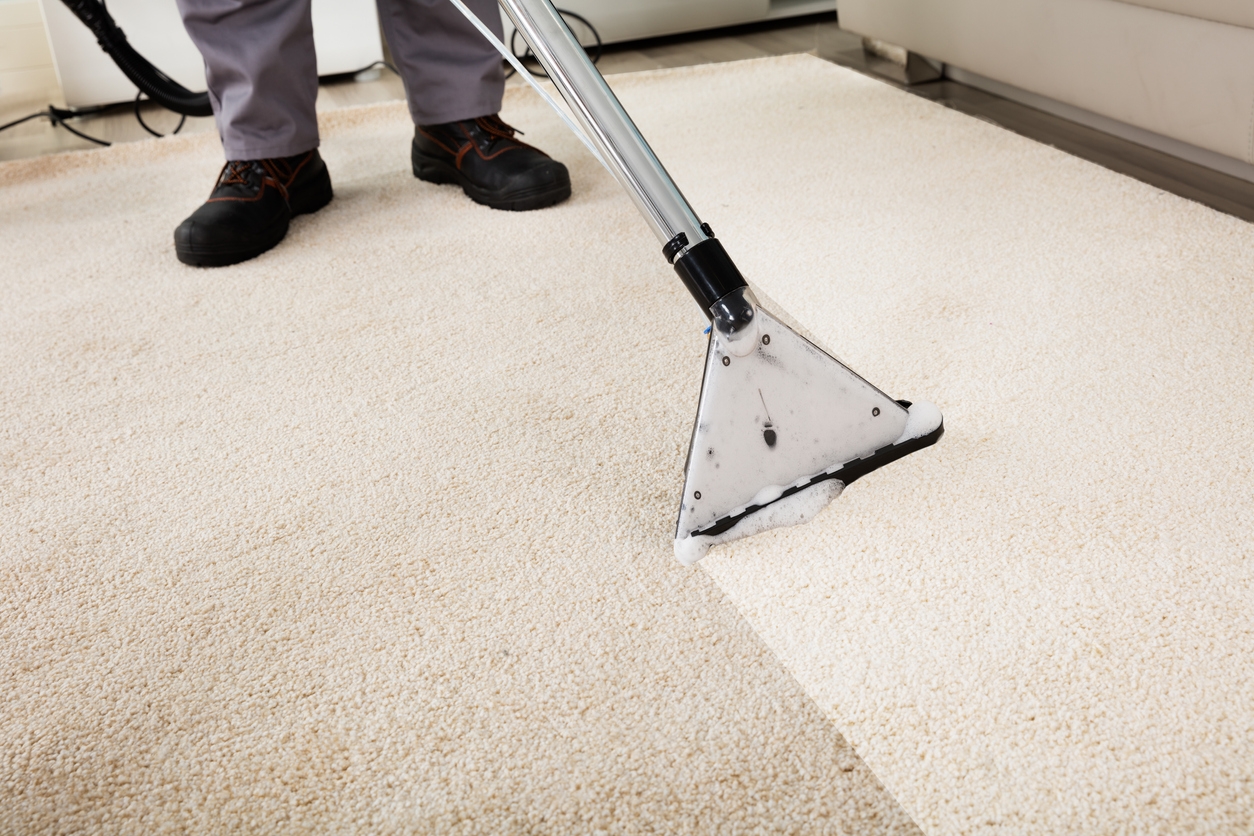 Dealing with Water Damaged Carpet
