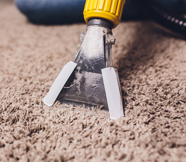 Commercial carpet cleaning in Michigan by Plymouth Carpet Service