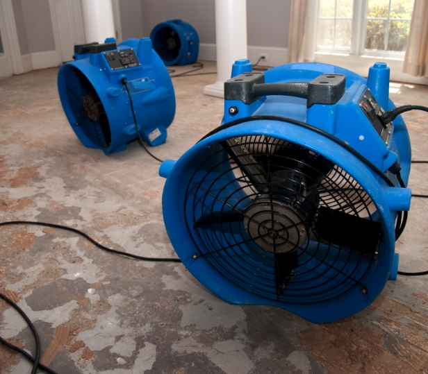 Water-Damaged Carpet Cleaning | Canton, MI | Plymouth Carpet - water1